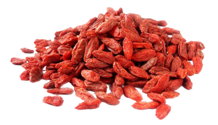 GOJI Kustovnice čínská